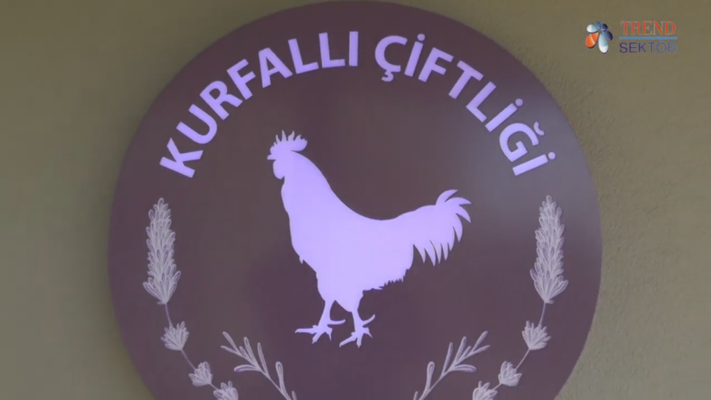 kurfallı